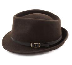 Mi Trilby de fieltro