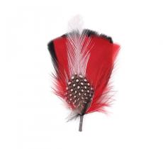 Classic Italy Plumas