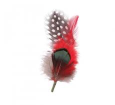 Classic Italy Plumas