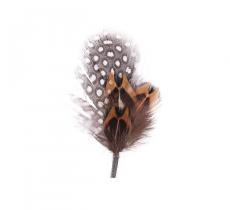 Classic Italy Plumas