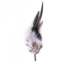 Classic Italy Plumas
