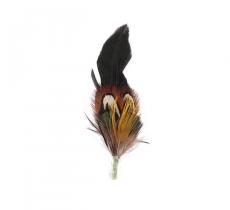Classic Italy Plumas