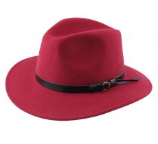 Clasico sombrero de viaje