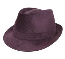 Classic Trilby Velour