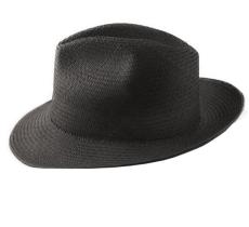 Mi Fedora Panama