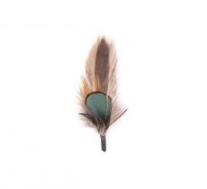 Duo de plumas