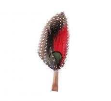 Plumas